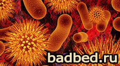 Антибактериальное мыло микробы