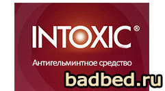 Intoxic (Интоксик)